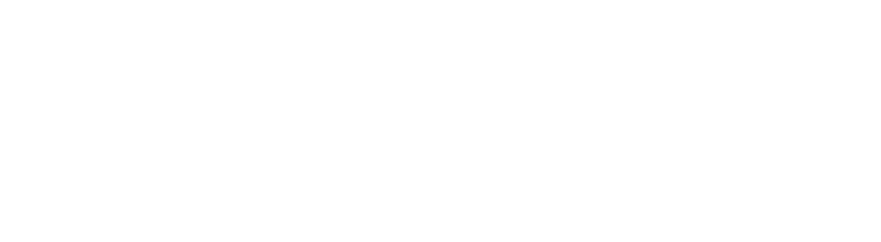 Turner Houser Insurance Group - Logo 800 White